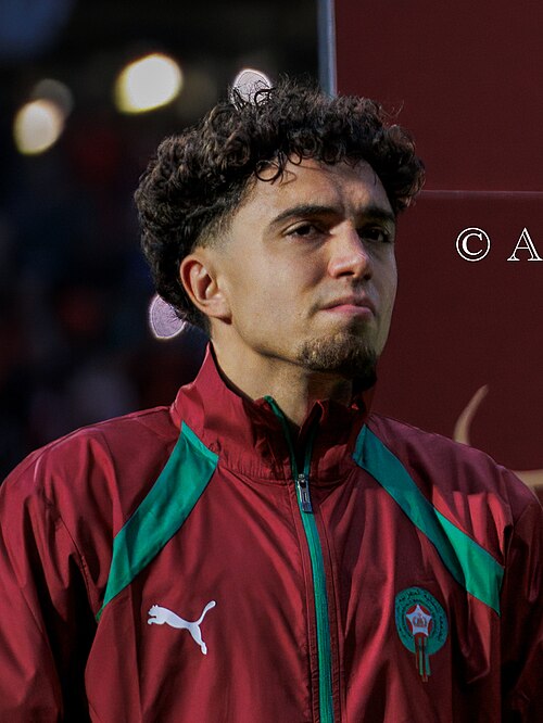 Neil El Aynaoui