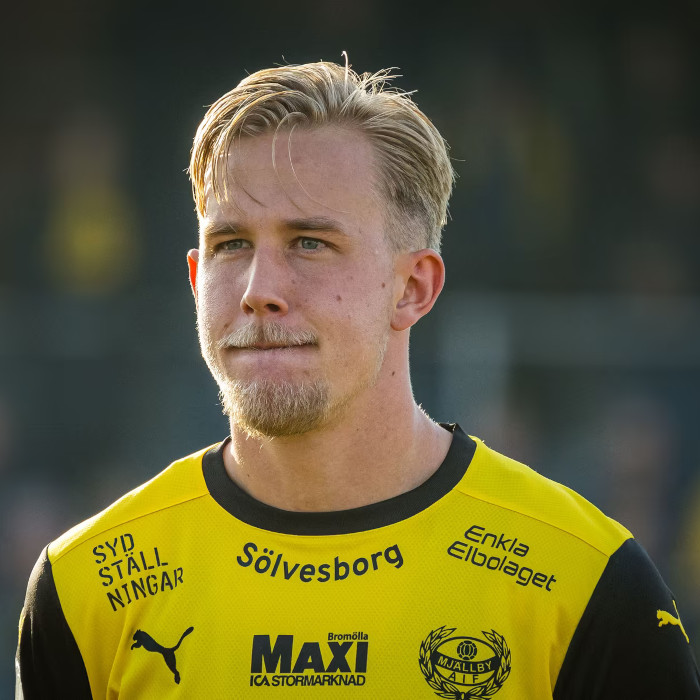 Herman Johansson